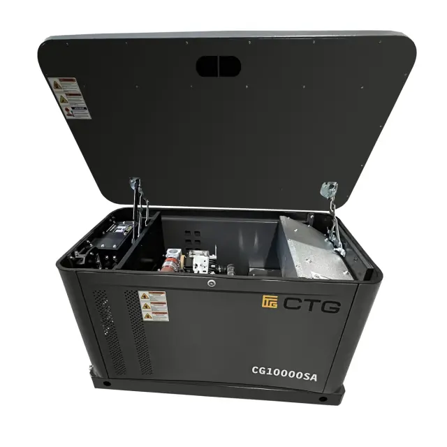 CTG CG10000SA газовый генератор