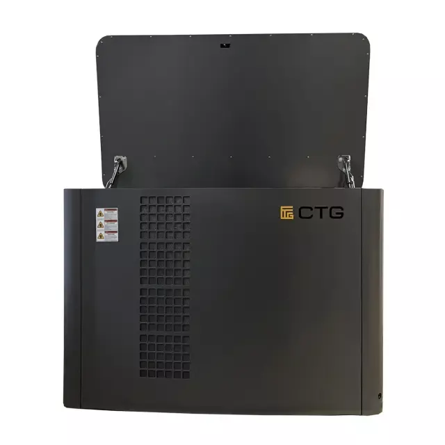 CTG CG17000TSA газовый генератор