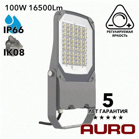 AURO-PRO-FL BSC-M-100 прожектор светодиодный 100Вт