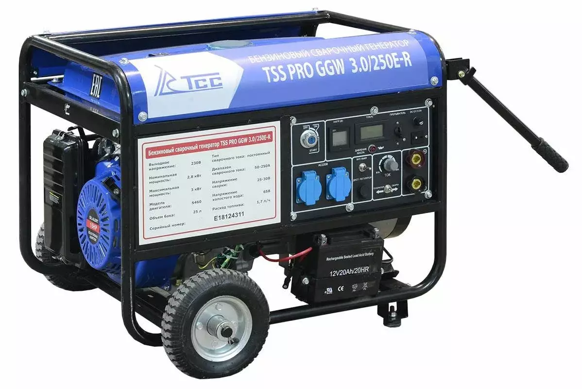 TSS PRO GGW 3.0/250E-R сварочный генератор
