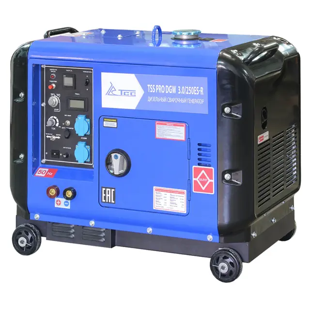 TSS PRO DGW 3.0/250ES-R сварочный генератор