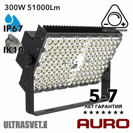 AURO-PRO-FL-SG2-300 светодиодный прожектор