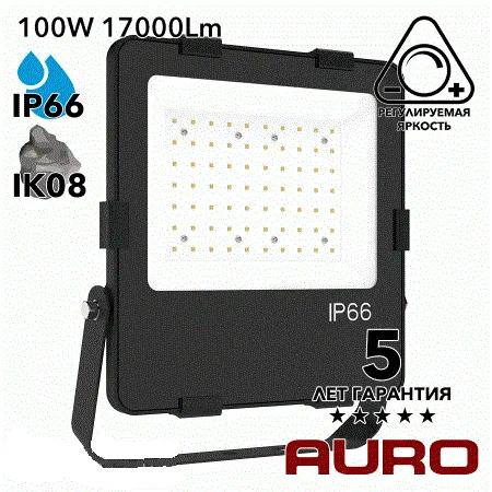 AURO-PRO-FL BSC-E-100 прожектор светодиодный 100Вт