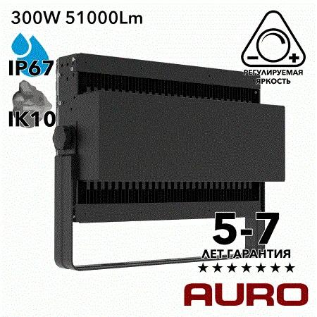 AURO-PRO-FL-SG2-300 светодиодный прожектор