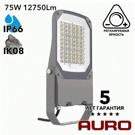 AURO-PRO-FL BSC-M-75 прожектор светодиодный 75Вт