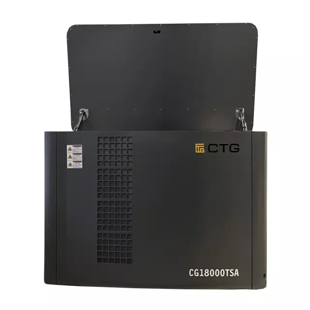CTG CG18000TSA газовый генератор
