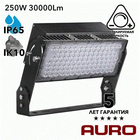 AURO-PRO-FL-S1-250 мощный светодиодный прожектор