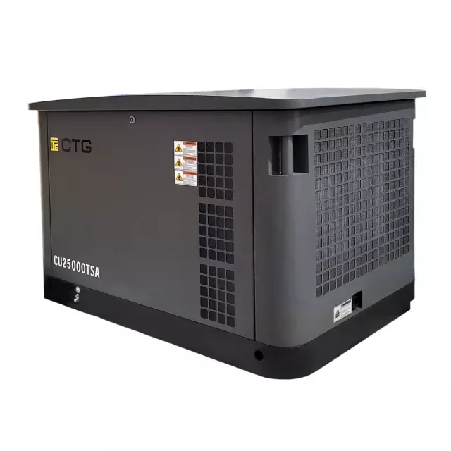 CTG CU25000TSA (газ и бензин) гибридный генератор