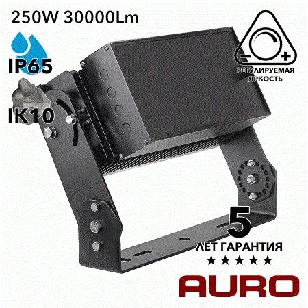 AURO-PRO-FL-S1-250 мощный светодиодный прожектор