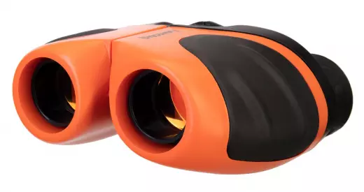 Levenhuk Discovery Basics BBС 8x21 Terra бинокль