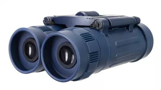 Levenhuk Discovery Basics BB 8x21 бинокль