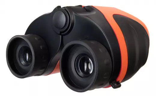 Levenhuk Discovery Basics BBС 8x21 Terra бинокль