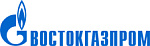 ООО «Газпром метанол». Группа компаний «Востокгазпром»